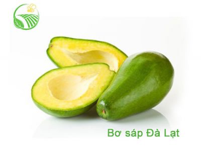 Bơ Sáp Bơ Sáp