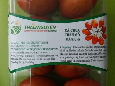 Cà Chua Thân Gỗ Cà Chua Thân Gỗ