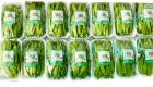 Garden Peas