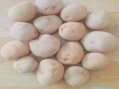 Khoai Tây Khoai Tây