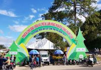 Thao Nguyen Join The Store At Da Lat Hoa Festival 2017