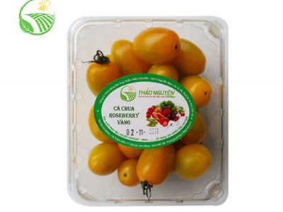 Cà Chua Roseberry Vàng Cà Chua Roseberry Vàng