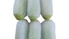 Cabbage Dalat