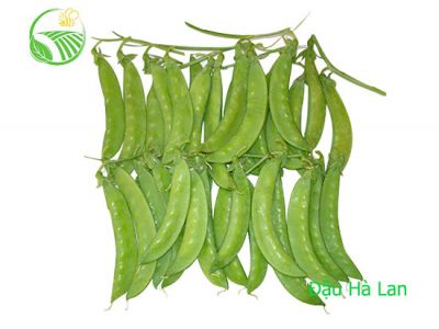 Garden Peas