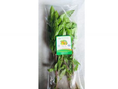 Húng Quế Húng Quế