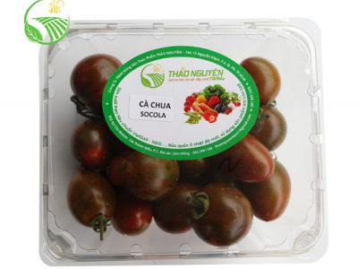 Cà Chua Socola Cà Chua Socola
