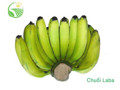 Chuối Laba Chuối Laba