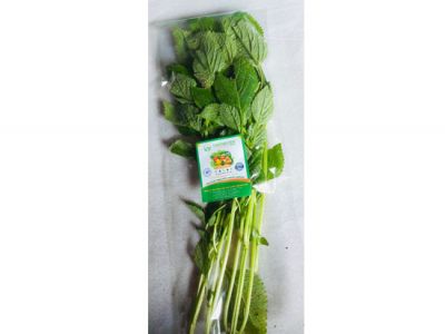 Kinh Giới Kinh Giới