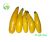 Yellow Zucchini