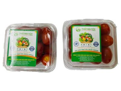 Roseberry Tomato