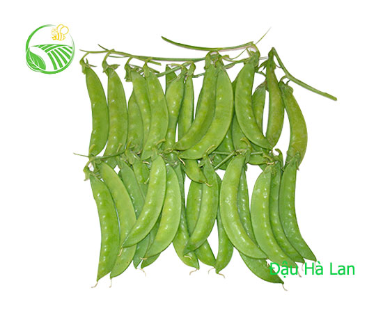 Garden Peas
