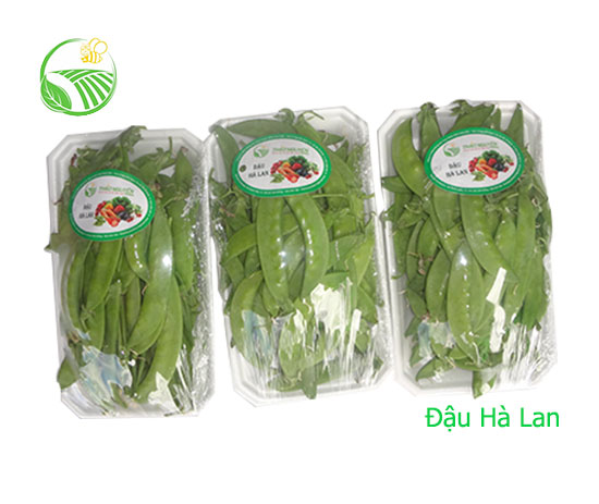 Garden Peas
