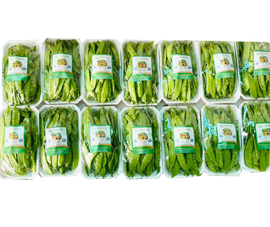 Garden Peas