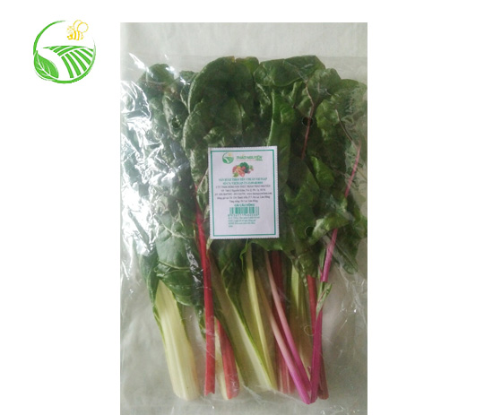 Rainbow Swiss Chard