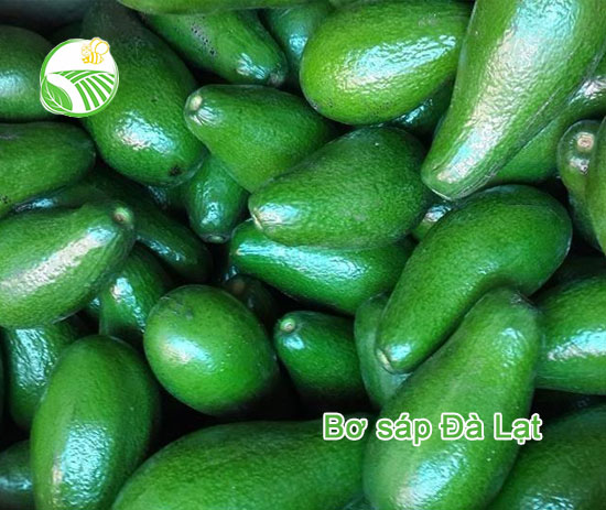 Bơ Sáp