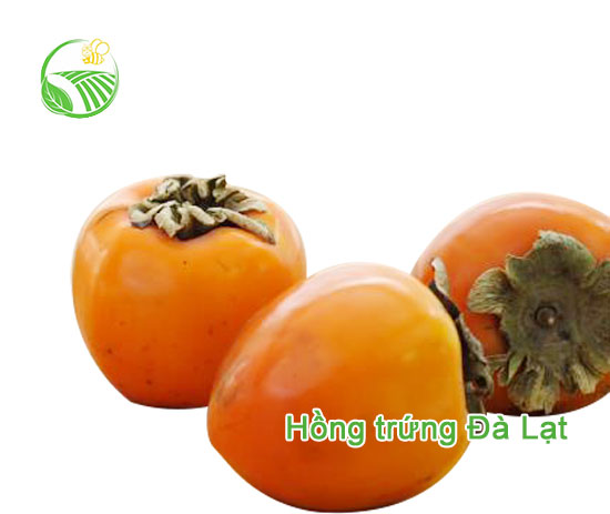 Hồng Trứng